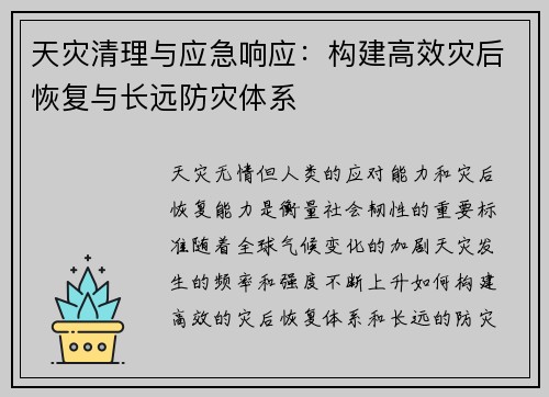 天灾清理与应急响应：构建高效灾后恢复与长远防灾体系